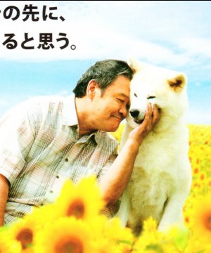 постер фильма Собака, смотрящая на звезды