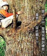 постер фильма Работа с деревом
