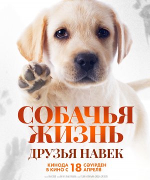 постер фильма Собачья жизнь: Друзья навек