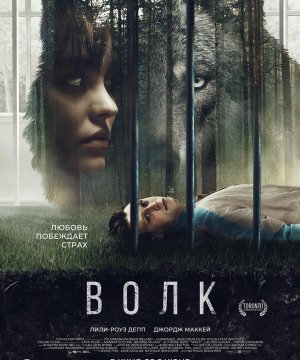 постер фильма Волк