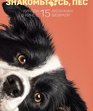 постер фильма Знакомьтесь, пёс