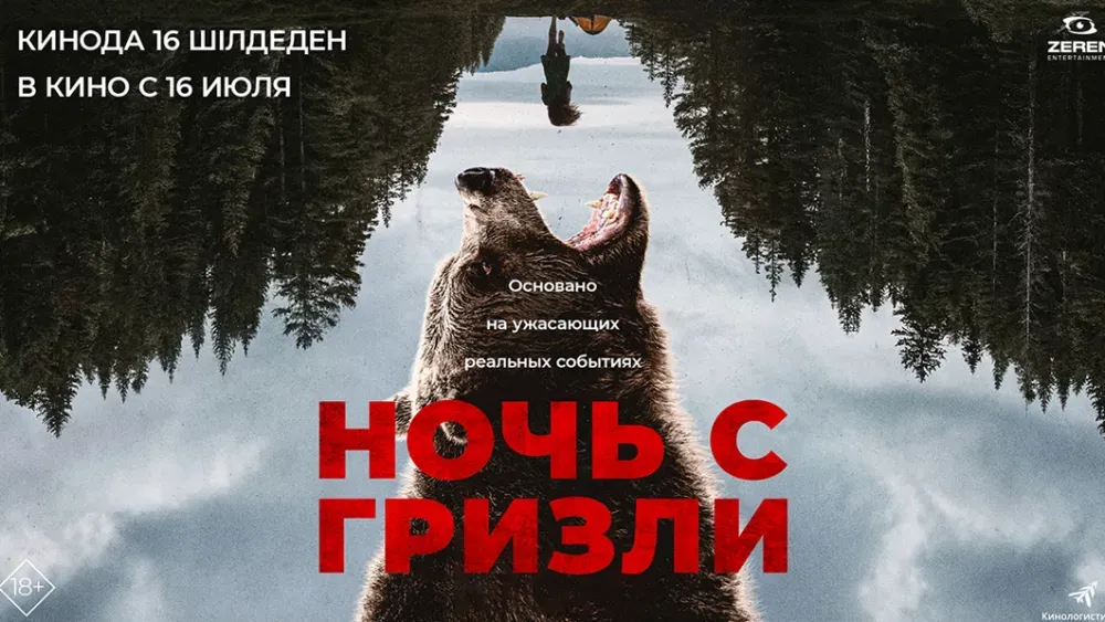 Ночь с гризли — постер