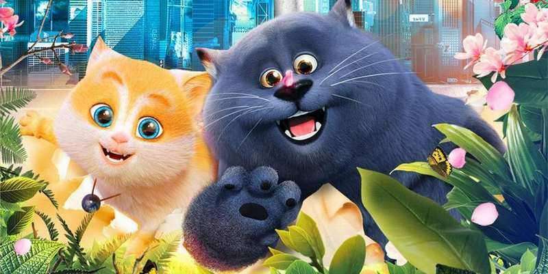 Большой кошачий побег